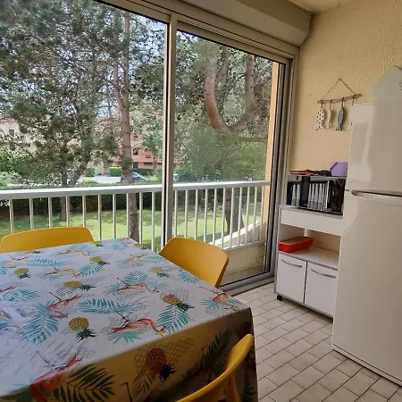 T2 A 300m De La Avec Parking, Loggia Vitree Et Animaux Acceptes - 4 Personnes - Fr-1-388-69 Appartement *