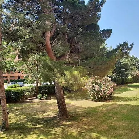 Apartment T2 A 300m De La Avec Parking, Loggia Vitree Et Animaux Acceptes - 4 Personnes - Fr-1-388-69