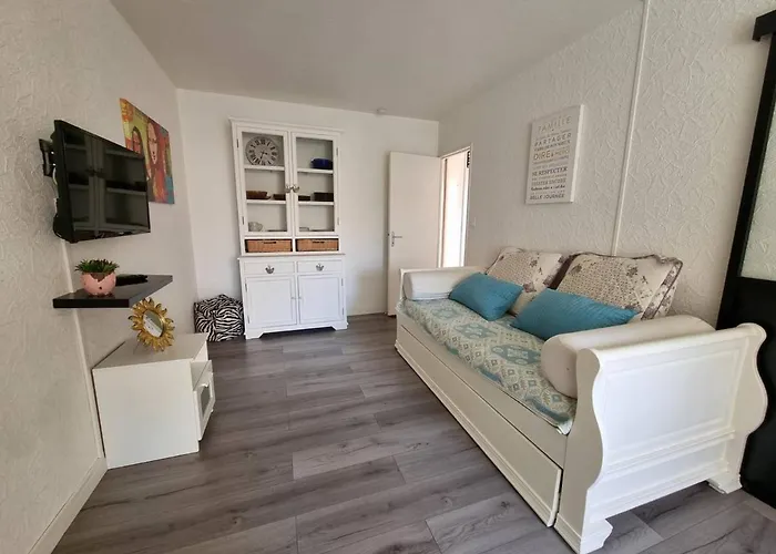 T2 A 300m De La Avec Parking, Loggia Vitree Et Animaux Acceptes - 4 Personnes - Fr-1-388-69 Argelès-sur-Mer